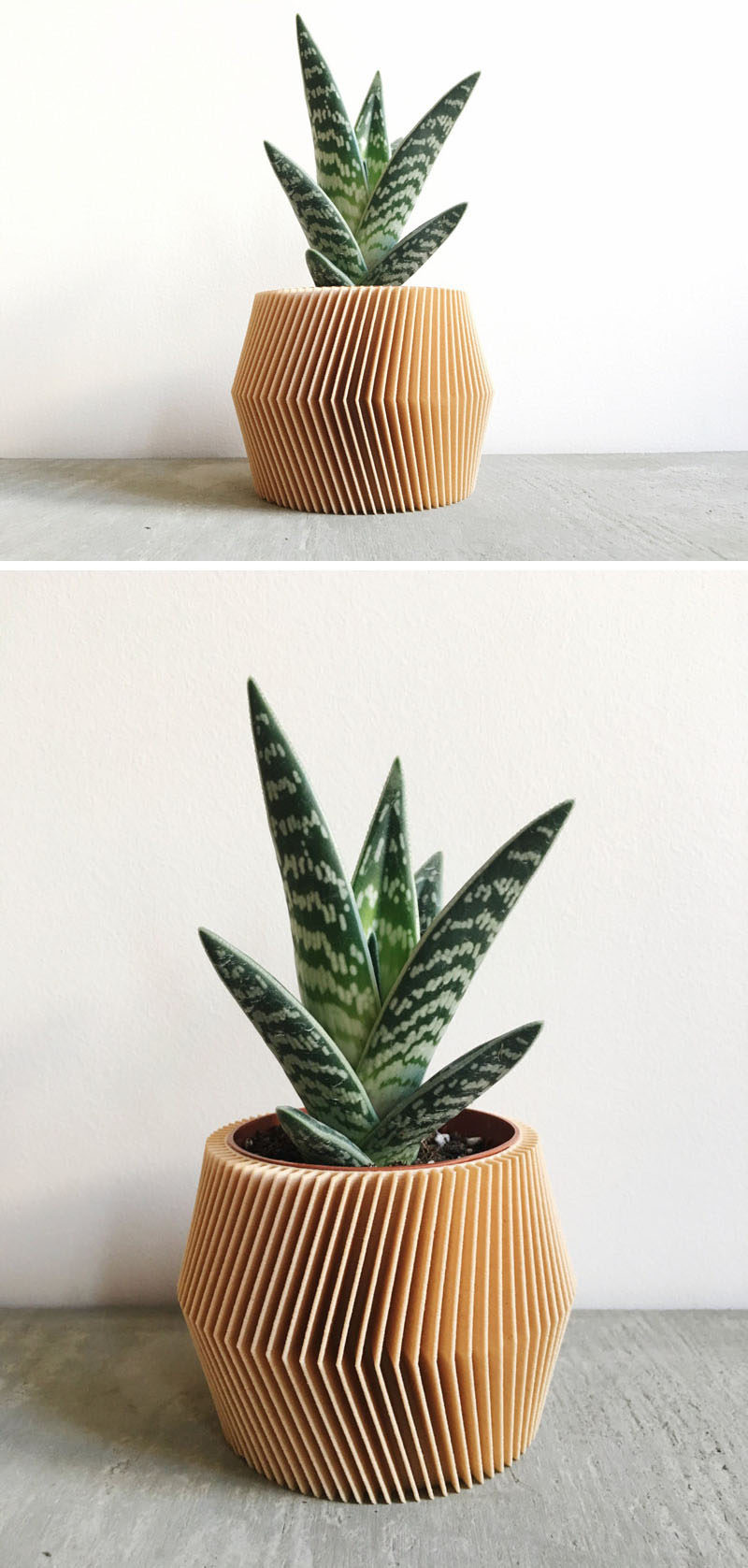 These modern and intricate geometric planters by Minimum Design are 3D printed products made from recycled wood fibers and bioplastic, making them biodegradable.