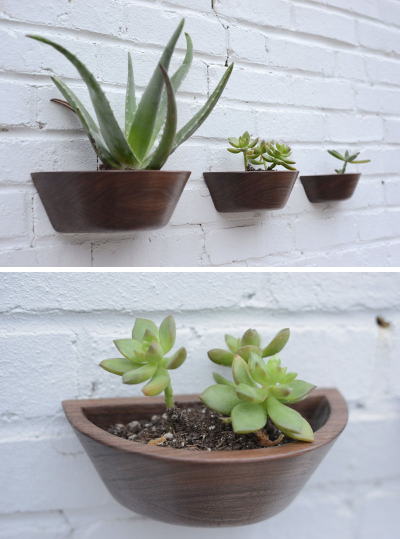 These simple curved wood wall mounted planters sit flat against the wall but at the same time add dimension to any interior. #WallMountedPlanters #WallPlanters #Decor #HomeDecor #Plants #Gardening