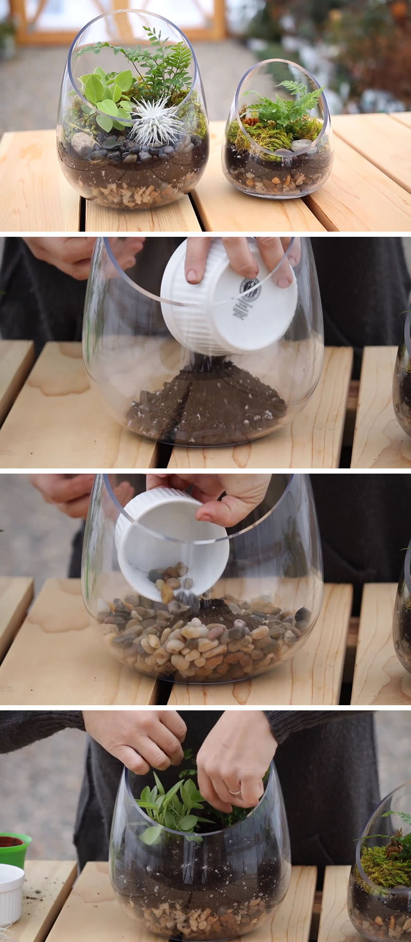  How To Make  A Modern DIY Terrarium Just In Time For Spring