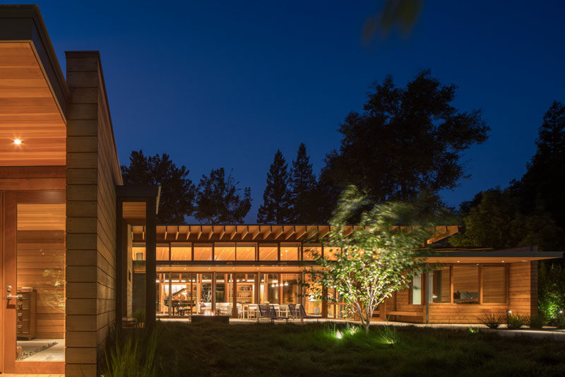 The landscaping of this modern house has specific trees highlighted with outdoor lights to create a focal point in the garden at night.