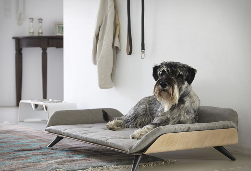 Designer Gerd Couckhuy has created the Letto dayBed, a stylish and modern dog bed made with an aluminum frame, light wood legs and a soft comfortable pillow.