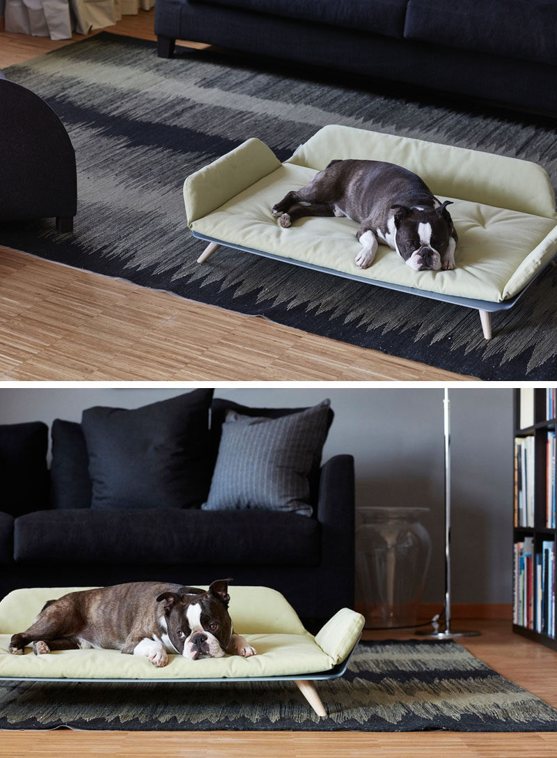 Designer Gerd Couckhuy has created the Letto dayBed, a stylish and modern dog bed made with an aluminum frame, light wood legs and a soft comfortable pillow.