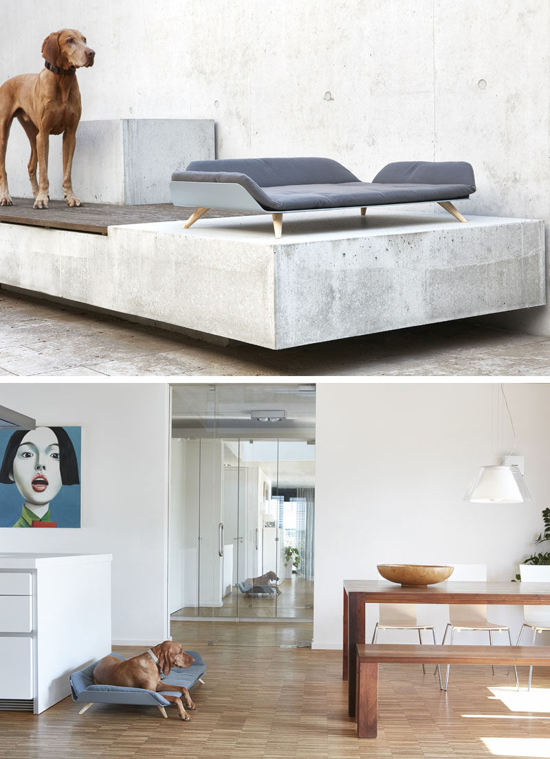 Designer Gerd Couckhuy has created the Letto dayBed, a stylish and modern dog bed made with an aluminum frame, light wood legs and a soft comfortable pillow.