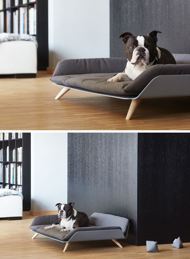 Designer Gerd Couckhuy has created the Letto dayBed, a stylish and modern dog bed made with an aluminum frame, light wood legs and a soft comfortable pillow.