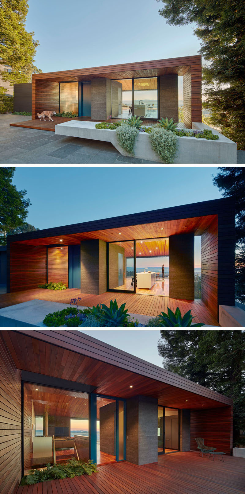 This modern house features a wood tube that connects the garden with the main entrance of the home and continues into the living areas. A large blue front door acts as the main entrance, however the kitchen has a large sliding glass door that opens to the small garden area and allows for outdoor dining, with a concrete planter and bench defining the dining area.