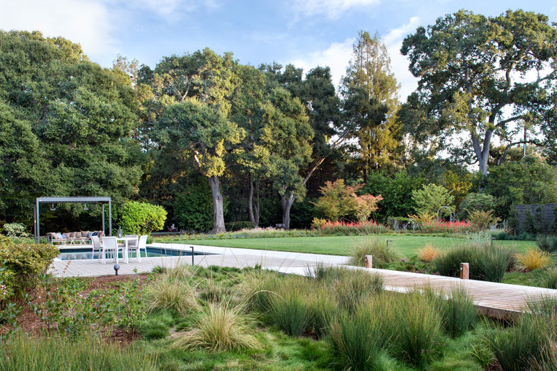 In this modern backyard, a slightly elevated walkway leads out to a manicured lawn, a pool, and a lounge area, allows the vegetation to continue growing underneath it and makes it easy to access the outdoor entertaining space.