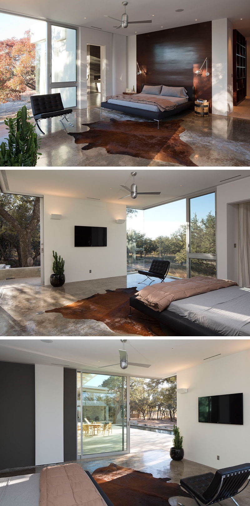 The master bedroom in this contemporary house includes a dark wood feature wall behind the bed and uses the natural, prairie-like landscape seen through the floor-to-ceiling windows as art to create a warm modern rustic feel in the space. 