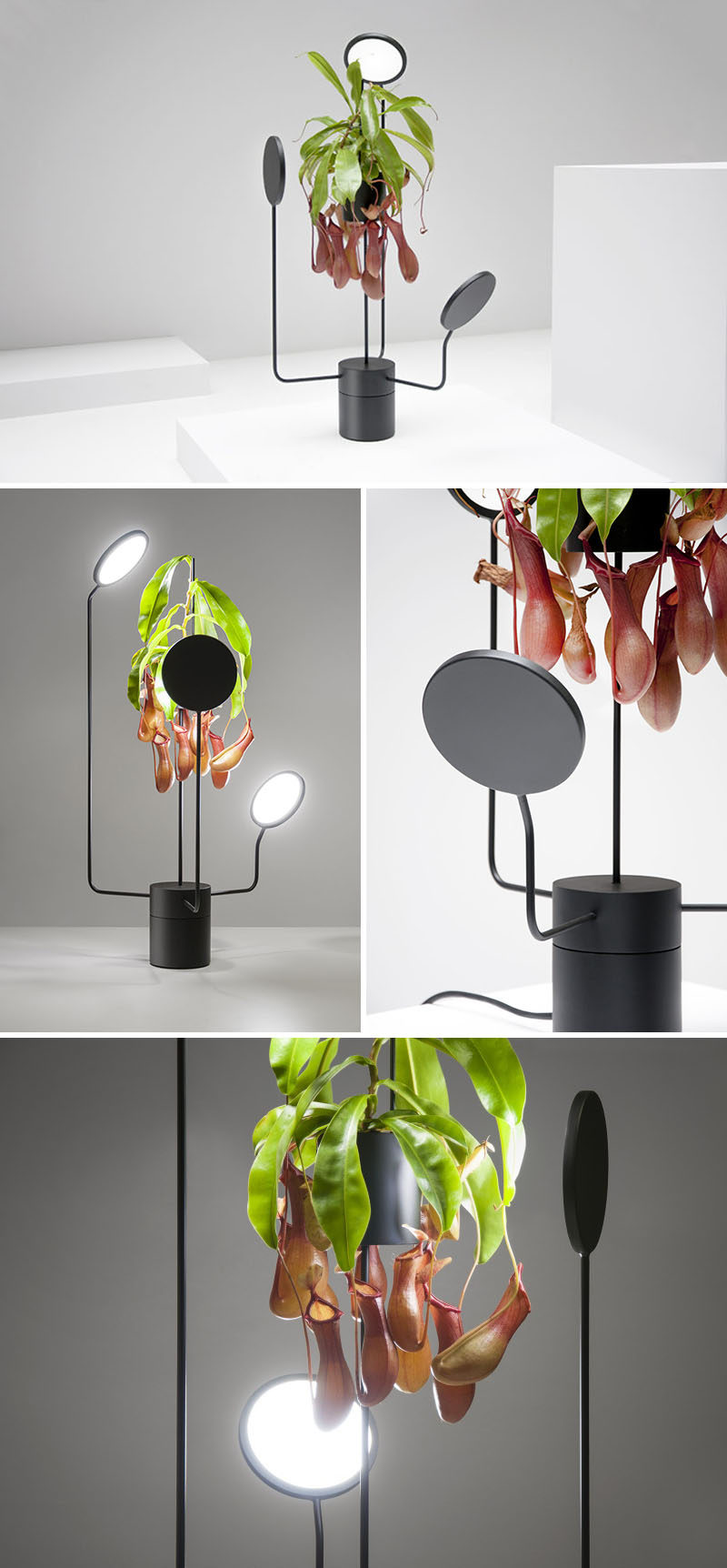 This minimalist and sculptural matte black planter has a flower pot on a pedestal, has lights that slowly rotate around the plant, providing an even distribution of light to the plant.