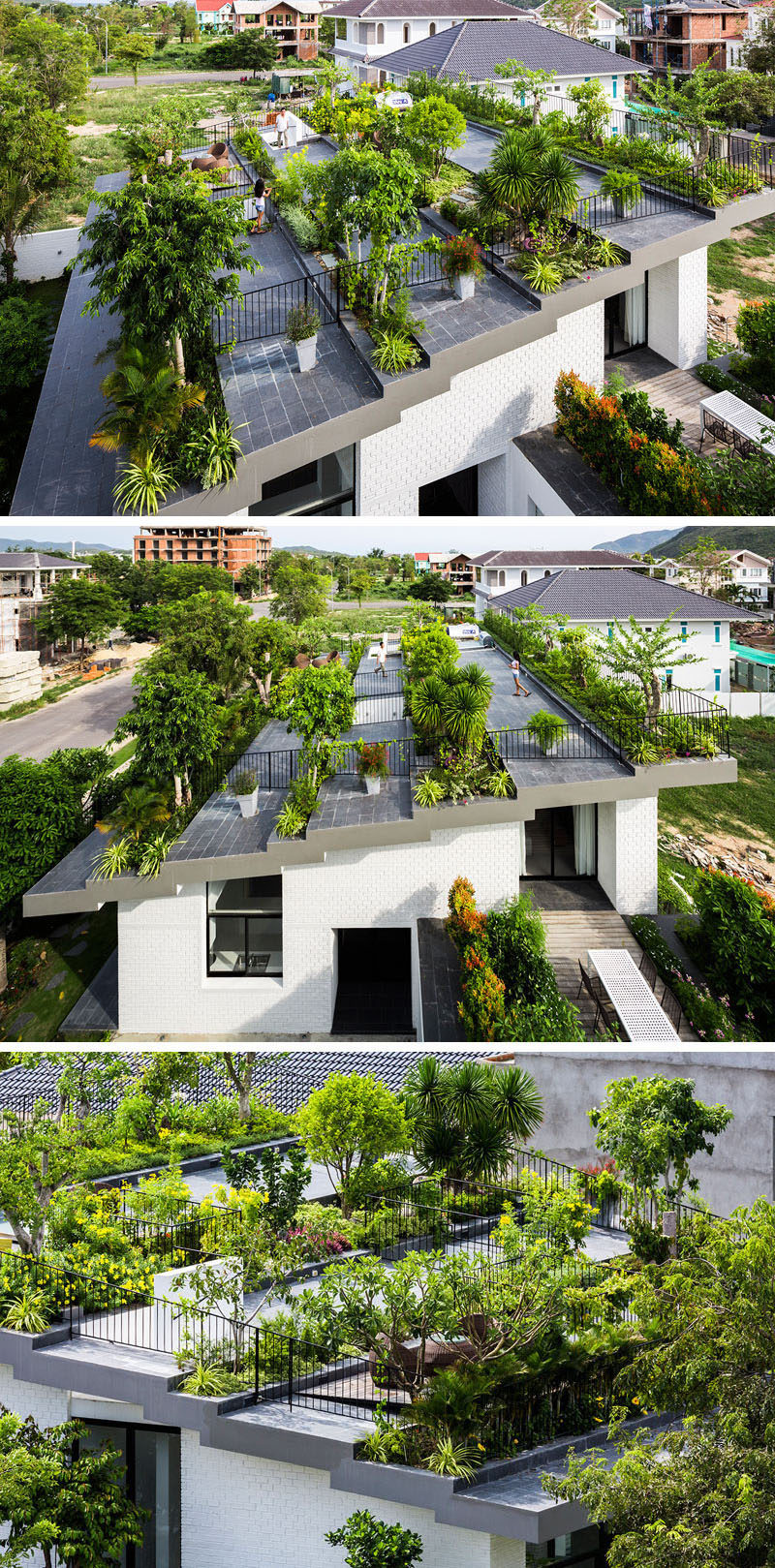 The roof of this family home has been turned into a rooftop garden with multiple levels to provide ample space to entertain and relax.