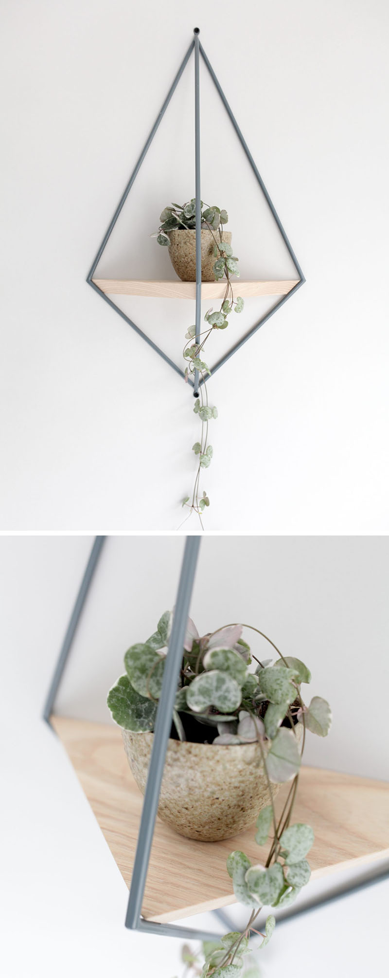 10 Modern Wall Mounted Plant Holders To Decorate Bare Walls