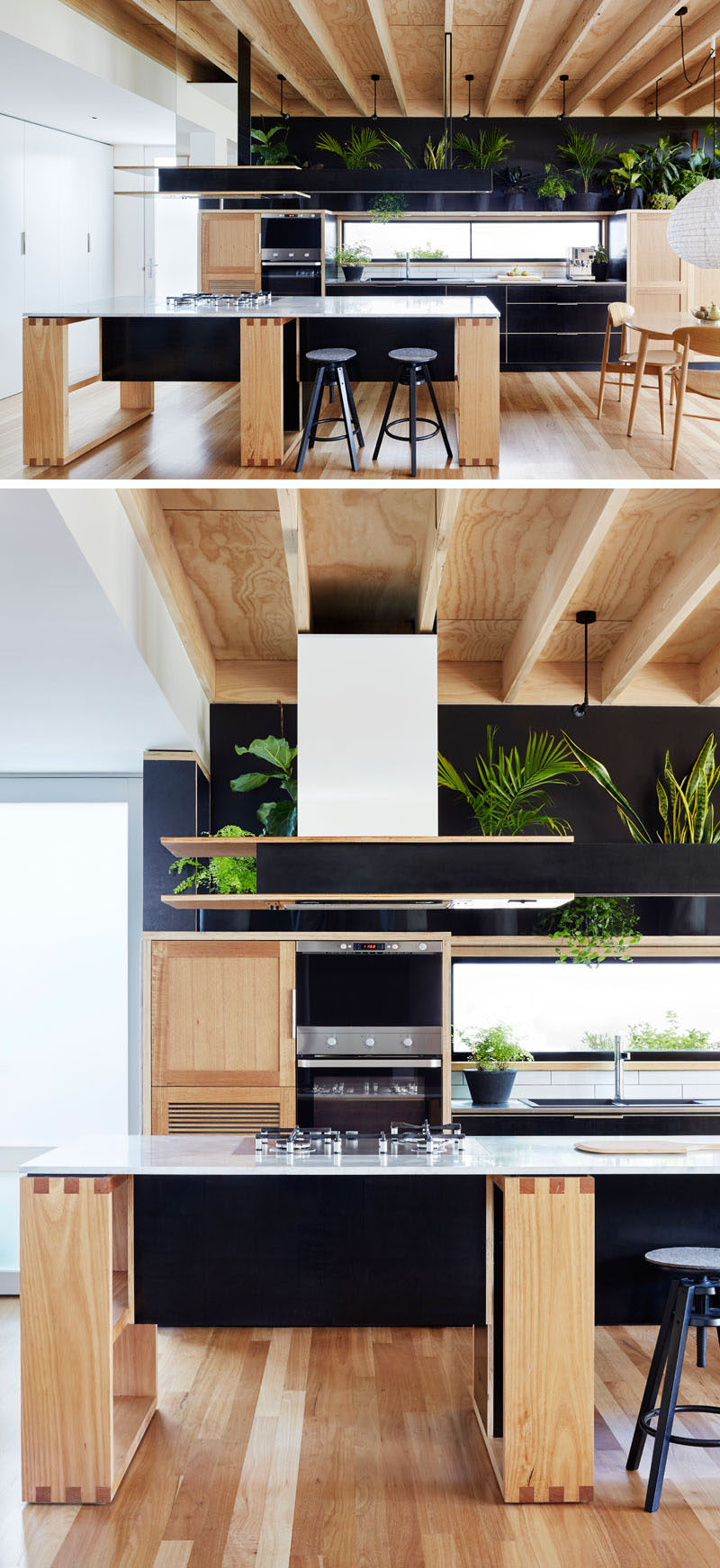 This modern kitchen combines wood and black formply (a type of plywood) drawer fronts. A row of plants sitting above the kitchen and against the wall, add a touch of nature to the space.