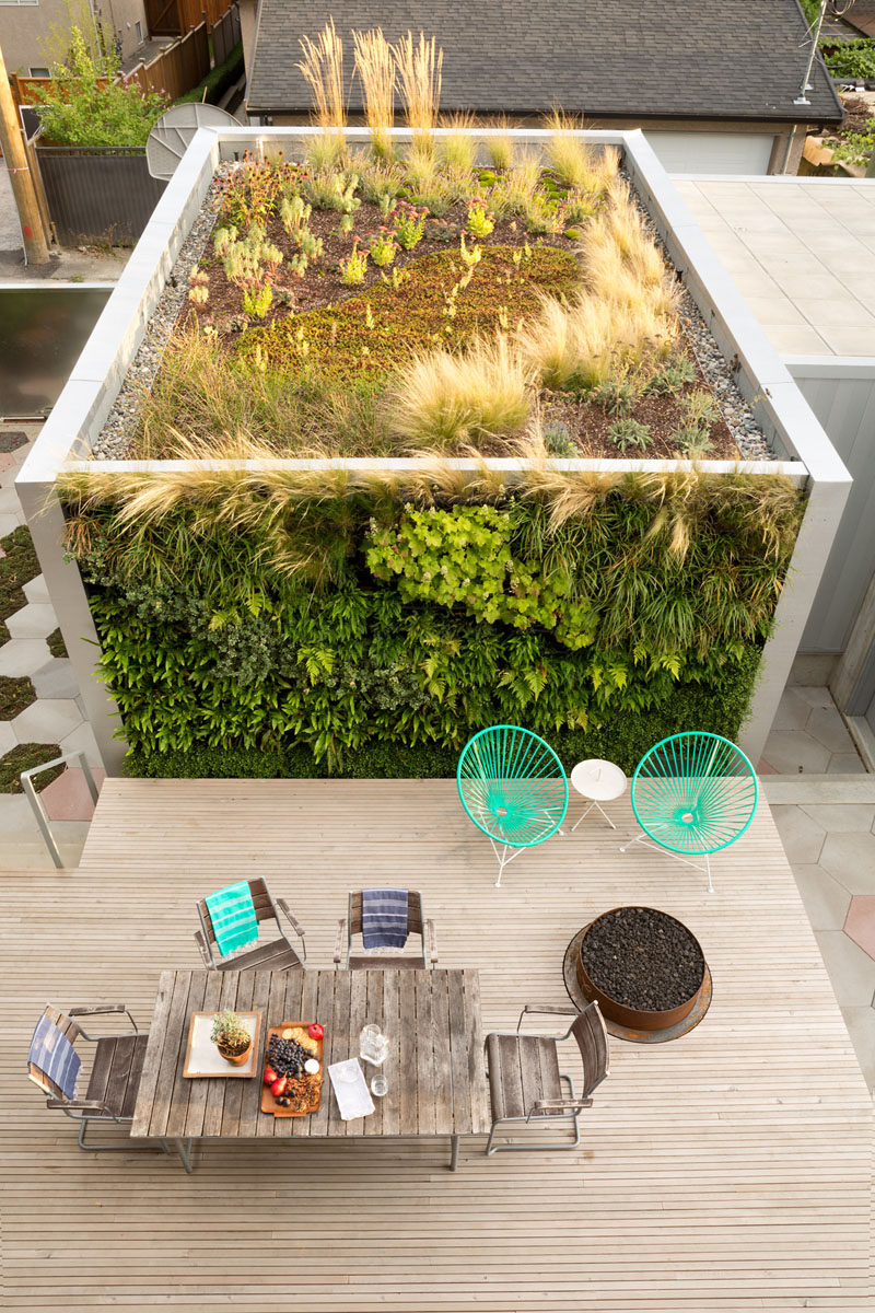 This backyard patio and entertaining area has a firepit and a green wall as a backdrop that wraps around onto the roof of a laneway house and garage. 