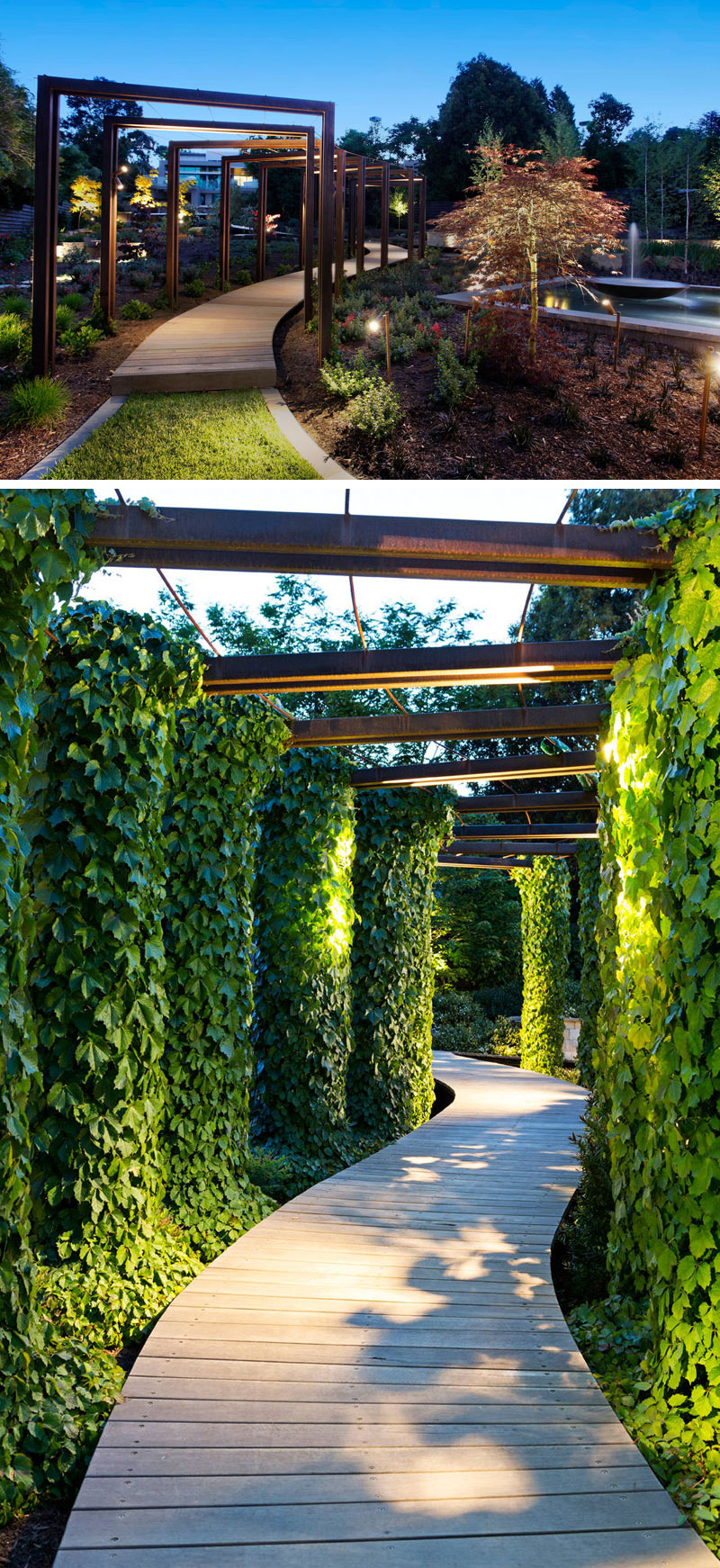 This modern wood pathway is surrounded by ivy covered arches and lit up by overhead lights.