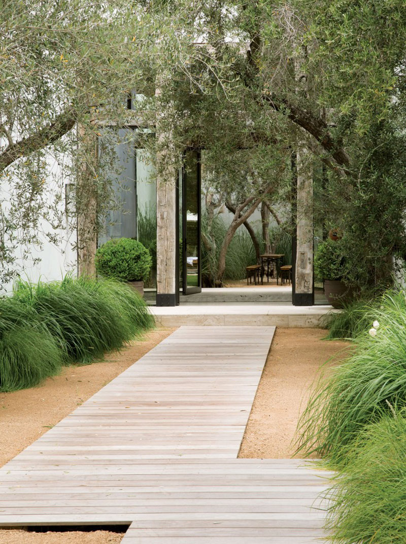 Thin panels of light wood guide you throughout the yard in this modern home. 