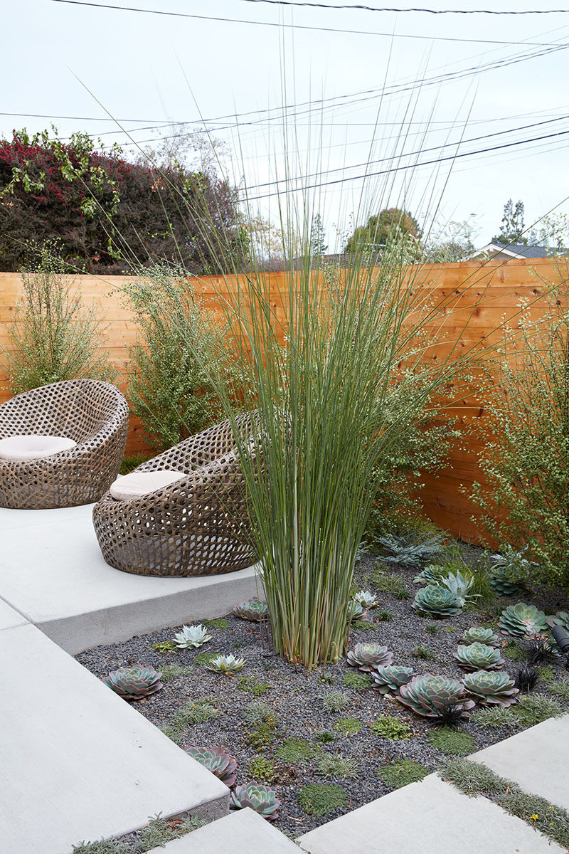 This mini private patio outside a bedroom, has a set chairs to relax on and enjoy the view of the rock garden that's full of succulents.