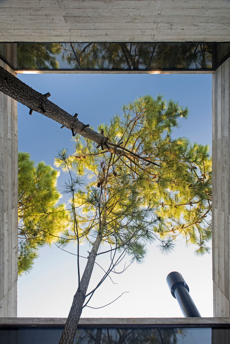 An open area between the sections of this modern house allows trees to grow from the centre of the home with glass windows on either side.