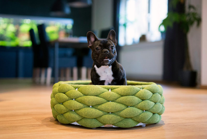Swiss design company Volentis GmbH, has designed "LABONI", a collection of modern pet furniture and accessories, and as part of the collection, they created modern pet bed named RIVA.