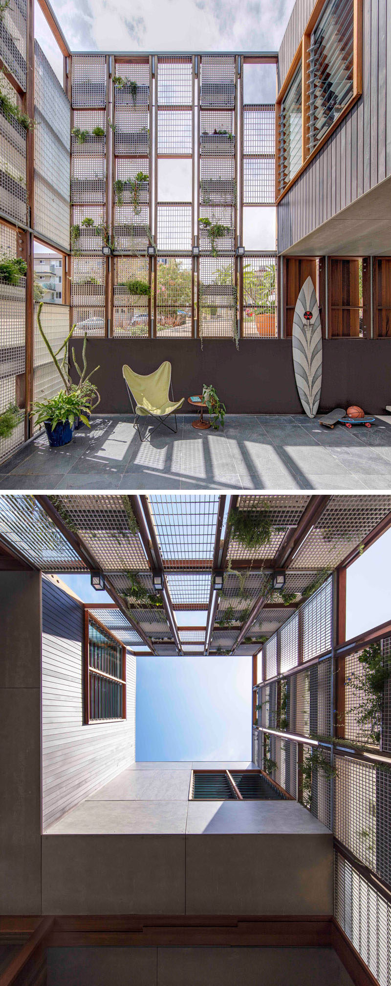 This modern Australian house has an inner courtyard with a grid of plants on a wall that will grow overtime to create a green wall.