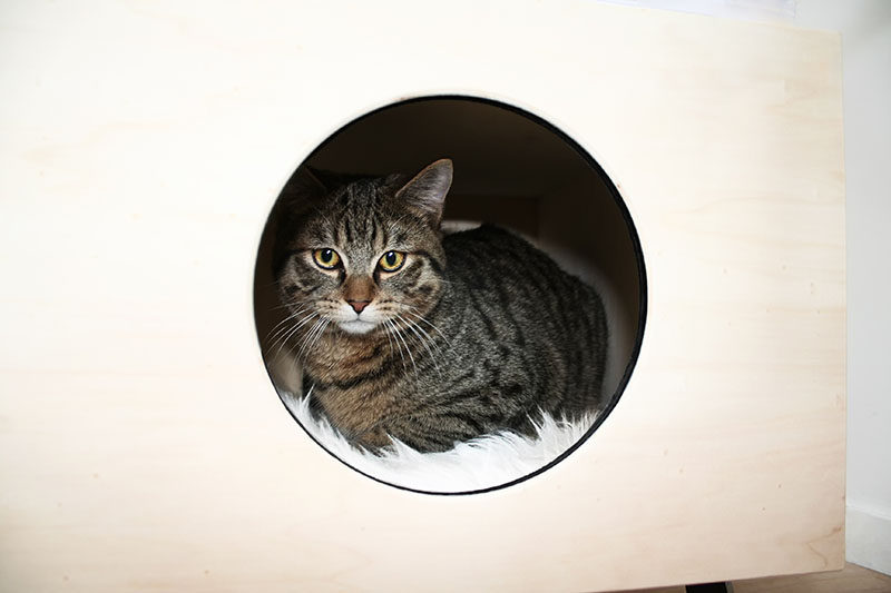 This modern cat bed / table named Nest, is made from high-end plywood, and as the design of the table is minimal, it can also double as a side table in any modern interior.