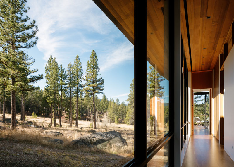 Large glass windows line this hallway that leads to the master bedroom, creating the illusion of walking in the forest. 