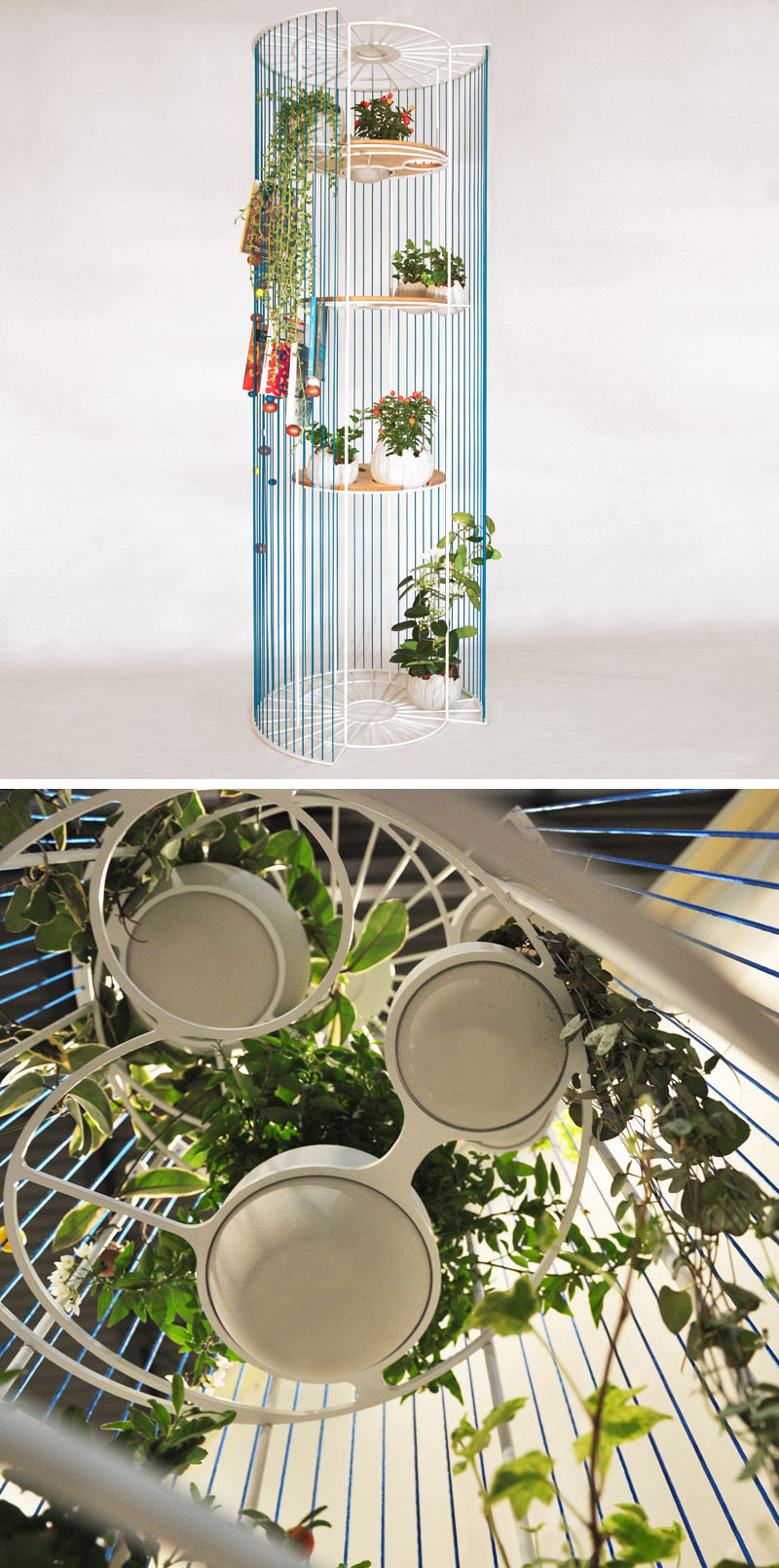 Designer Alessandra Meacci has created Bolina, a modern and multi-functional room divider, that doubles as a bookshelf and a place to display your plants.