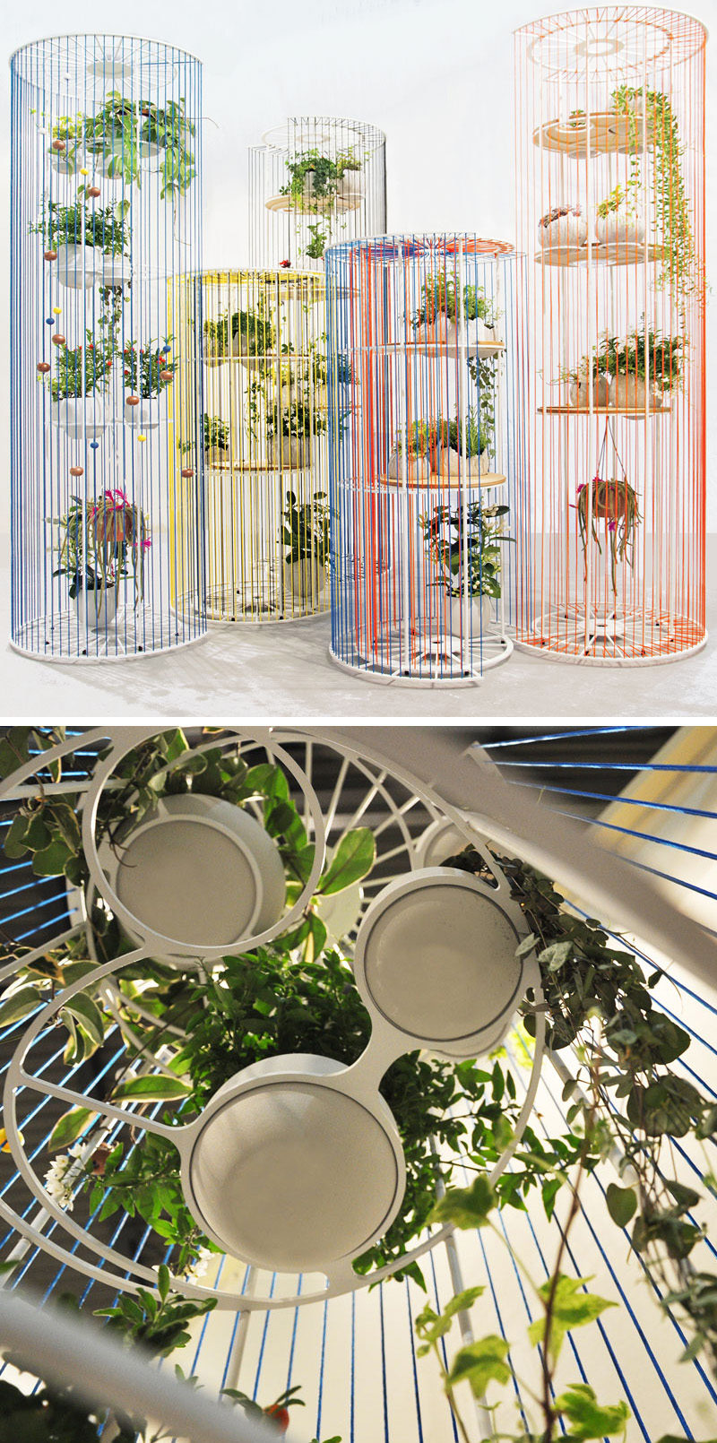 Designer Alessandra Meacci has created Bolina, a modern and versatile room divider, that doubles as a bookshelf and a place to display your plants.