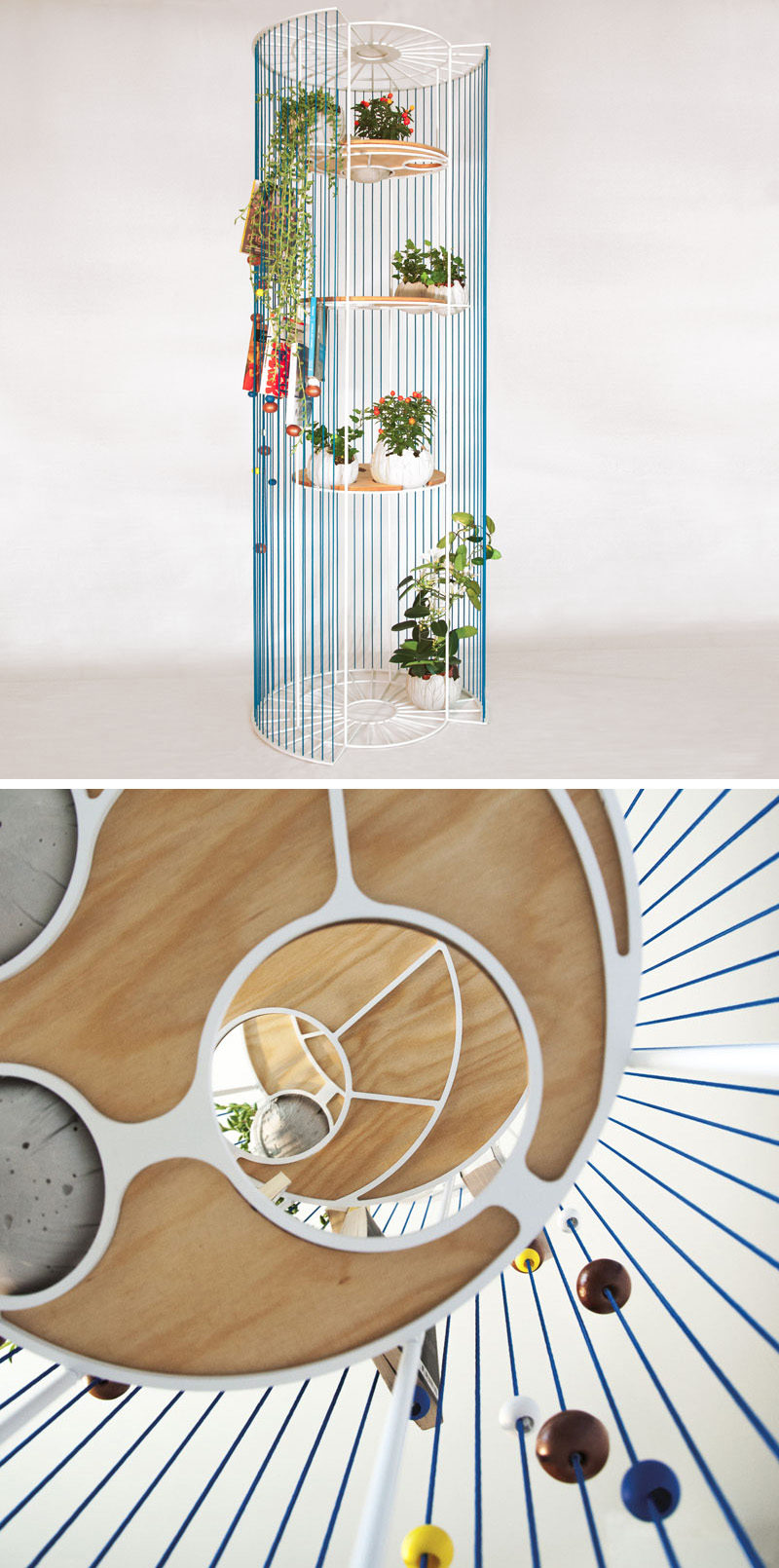 Designer Alessandra Meacci has created Bolina, a modern and multi-functional room divider, that doubles as a bookshelf and a place to display your plants.