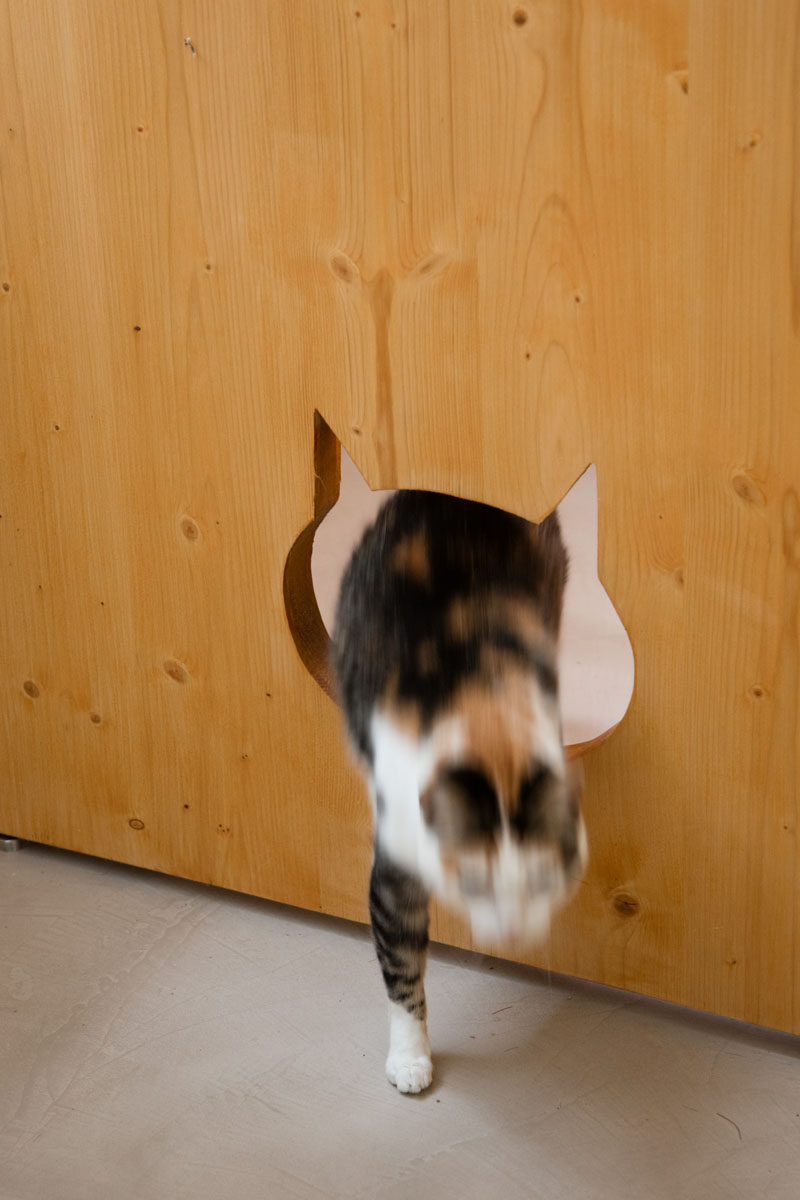 This small and modern apartment has a closet to hide away the washing machine and cleaning products, and when the door is closed, it reveals a cut-out in the door that doubles as a cute cat door.