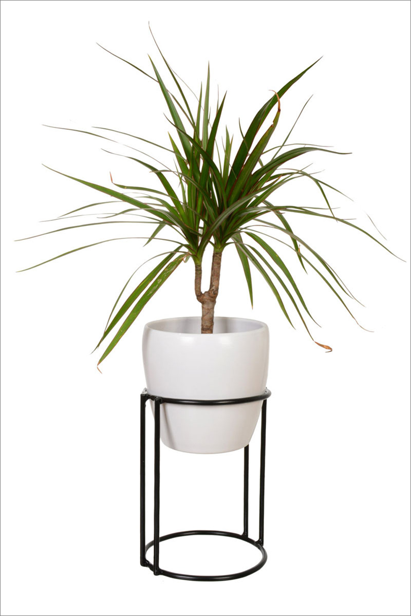 Circular in shape, this modern black steel plant stand is suitable for both indoors and outdoors. #PlantStand #ModernPlantStands #Garden #Plants #ModernHomeDecor