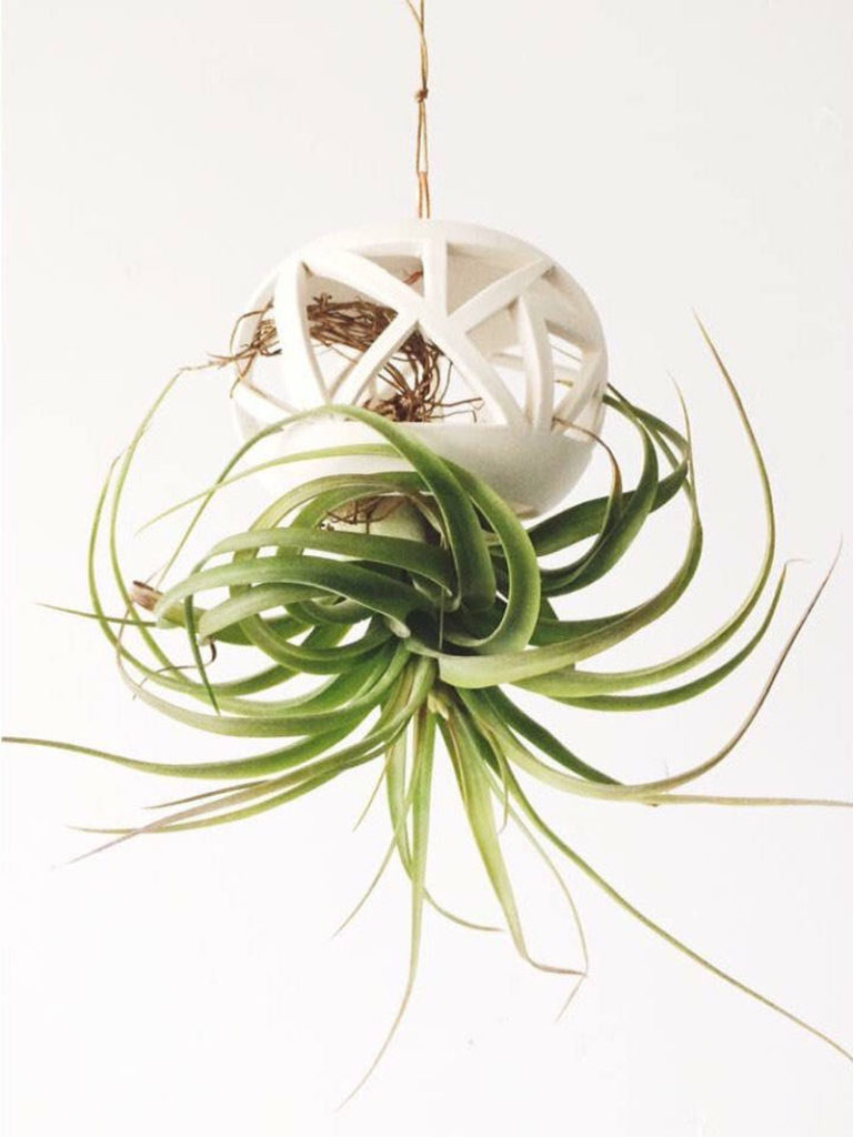These 11 Modern Hanging Planters Will Inspire You To Liven Up Your Home