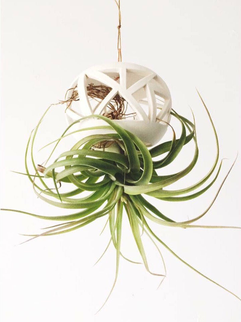 Hand spun on a pottery wheel, this white ceramic planter is inspired by the graphic patterns of Art Deco, and is designed for orchids and hanging air plants. #HangingPlanter #ModernPlanter #HomeDecor #Garden #Plants