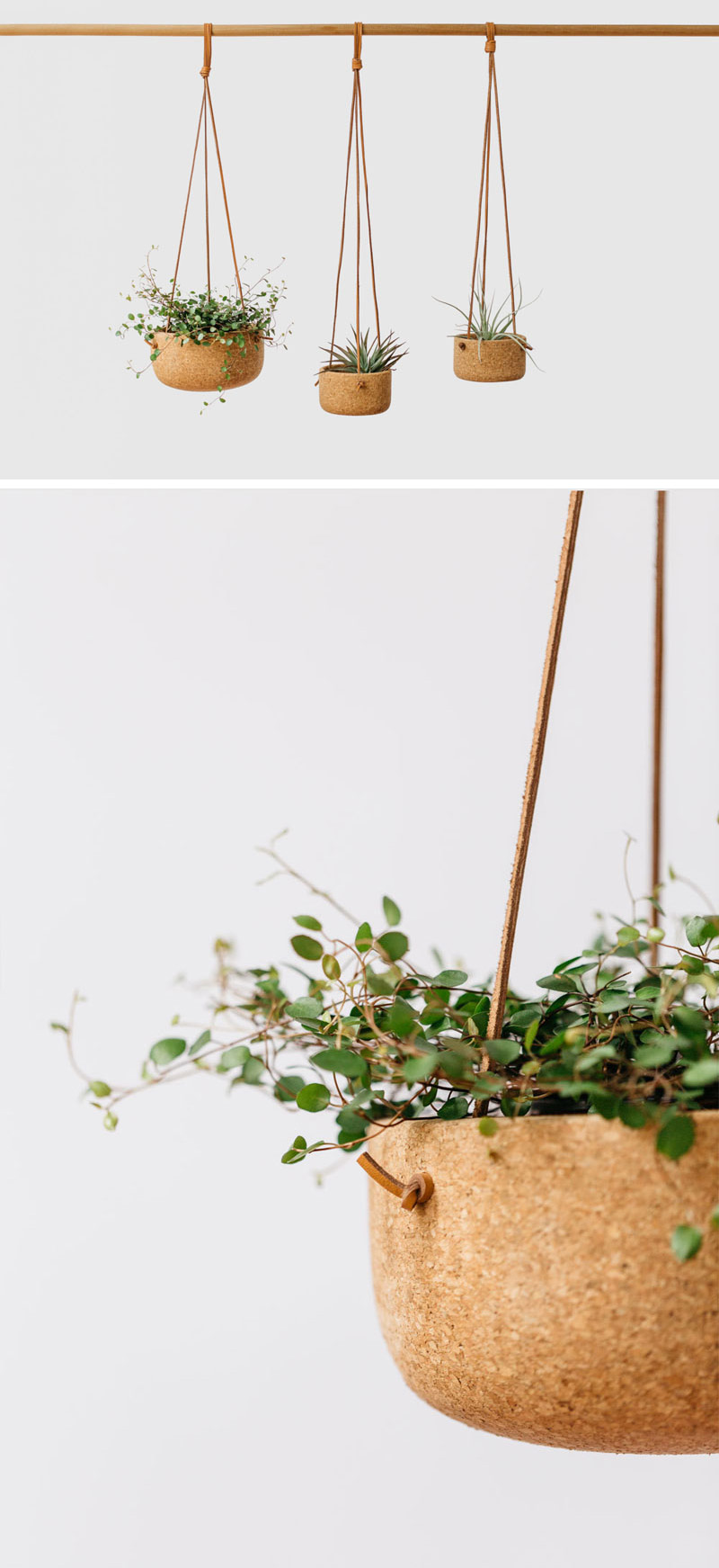 Vintage inspired, these modern hanging planters are made from hand-turned cork and natural leather lace. In variety of sizes, these strong pots are ideal for any plant. #HangingPlanter #ModernPlanter #HomeDecor #Garden #Plants