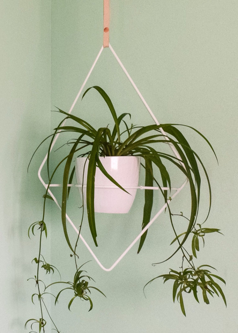 These 11 Modern Hanging Planters Will Inspire You To Liven Up Your Home