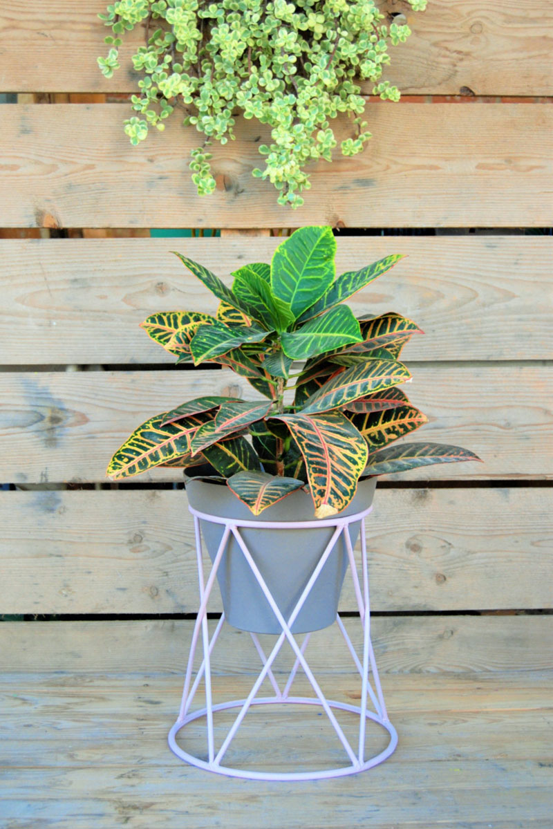 Short and sweet, this modern purple plant stand is delicate but also strong enough to support large plants. #PlantStand #ModernPlantStands #Garden #Plants #ModernHomeDecor