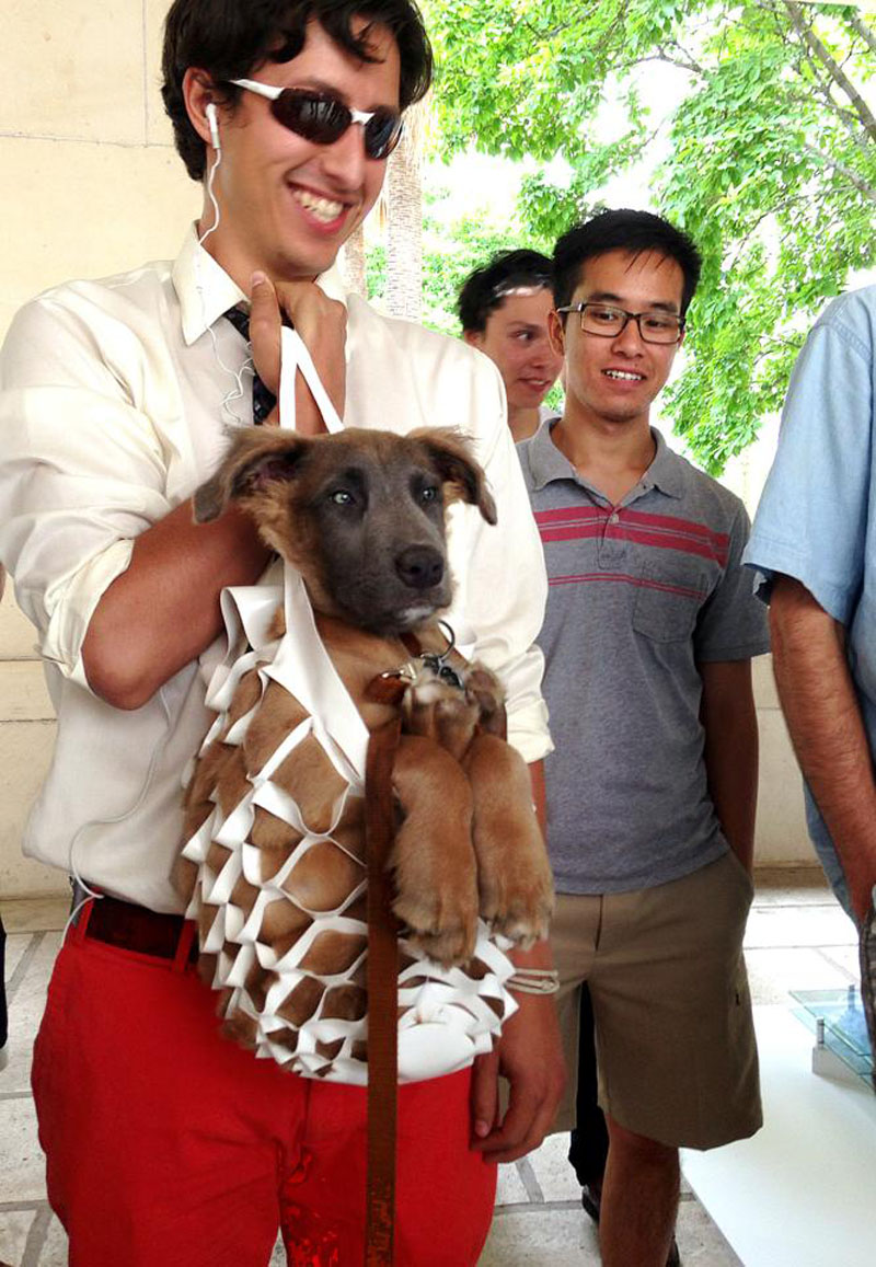 This modern white reusable bag is strong enough to hold a medium sized dog. 