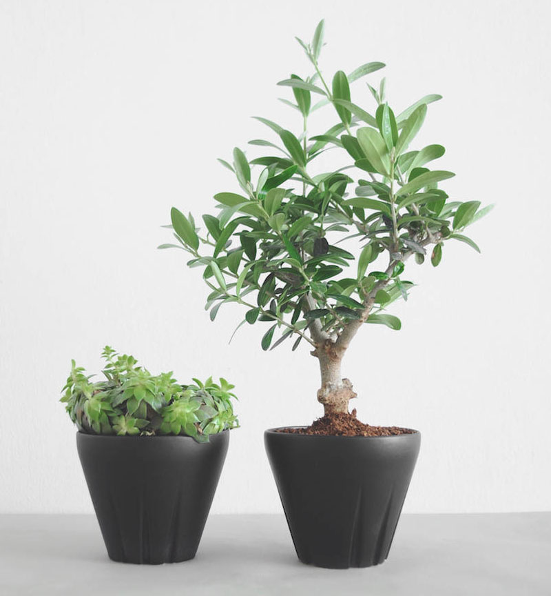 Ideal for small trees or sprawling succulents, these modern ceramic, matte black planters will suit any home decor style. 