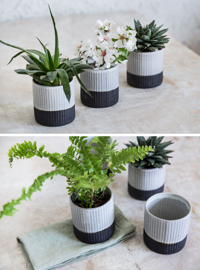 A ribbed texture on the exterior of these modern black and white ceramic planters gives them an organic look. 