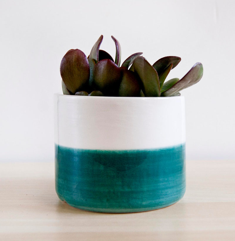 This modern white ceramic planter receives a pop of color, with the bottom half being blue. It's size makes it easy to fit into small spaces. 