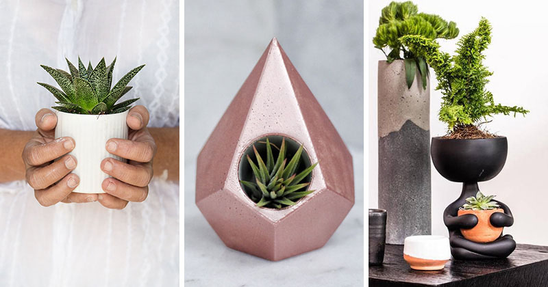 These modern tabletop planters are fun and functional making them perfect for any home decor. 