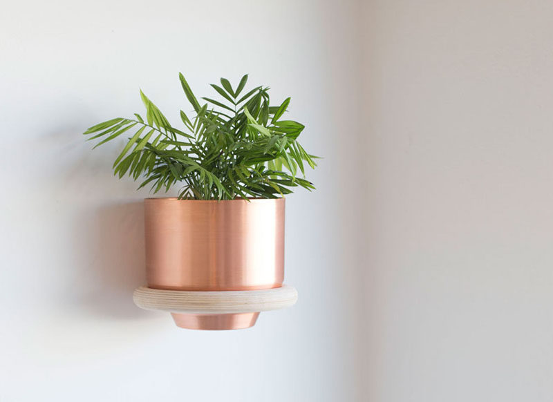 Andrew Deming and Rachel Gant of  YIELD have designed a modern wood ring, wall mounted plant holder, that looks like it simply floats on the wall.