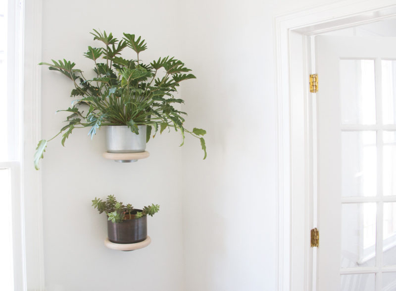 Andrew Deming and Rachel Gant of  YIELD have designed a modern wood ring, wall mounted plant holder, that looks like it simply floats on the wall.