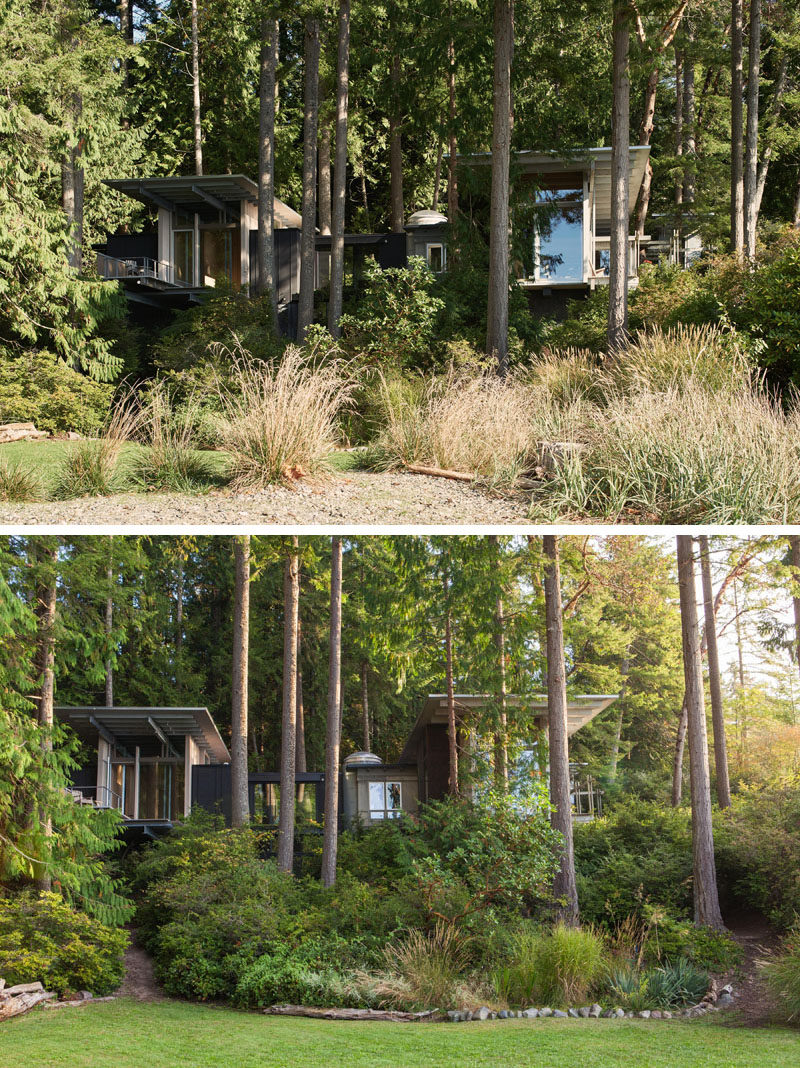 This modern cabin in the forest has grown over the years from a simple bunkhouse to a full retreat with multiple bedrooms for family and friends.