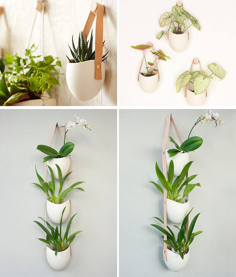 Farrah Sit of design studio Light + Ladder, has created a collection of ceramic wall planters that are combined with other materials like rope or leather to create contemporary art-like installations that show off your small plants. 