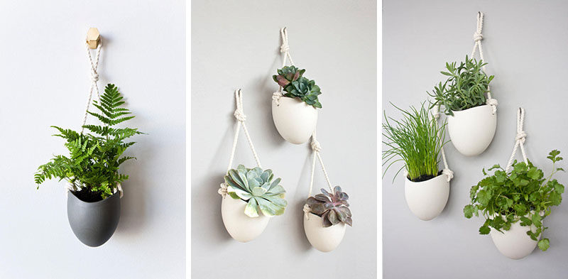 Farrah Sit of design studio Light + Ladder, has created a collection of ceramic wall planters that are combined with other materials like rope or leather to create contemporary art-like installations that show off your small plants. 