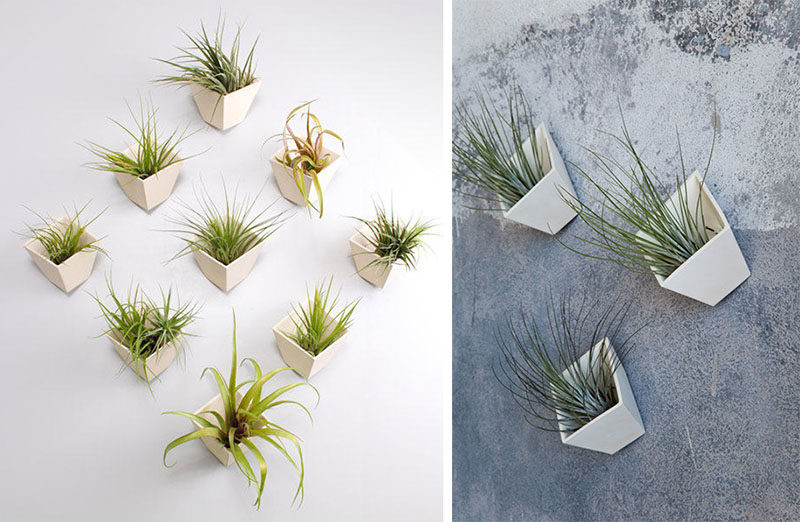 Farrah Sit of design studio Light + Ladder, has created a collection of ceramic wall planters that are combined with other materials like rope or leather to create contemporary art-like installations that show off your small plants. 