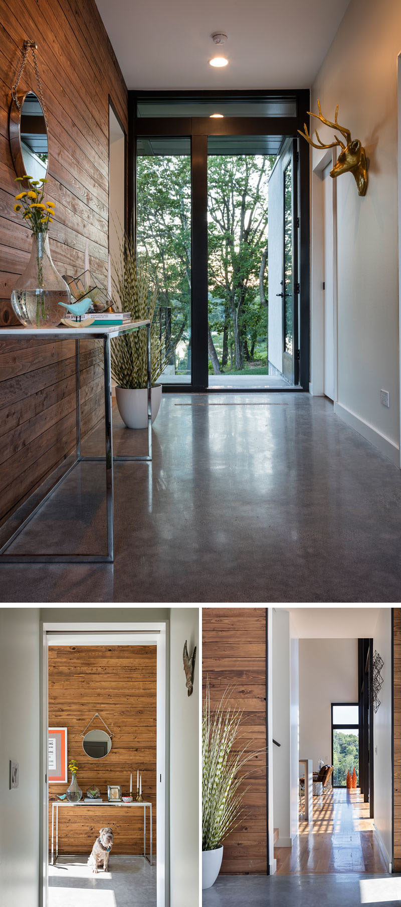 In this modern house, the entryway has a polished concrete floor and a wood accent wall that welcome you to the home.