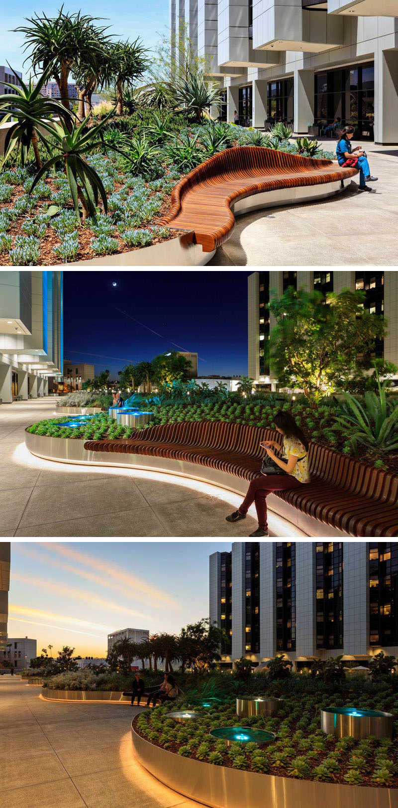 In this landscaped garden, curved wood benches mimic the shape of the planters and add a second sculptural design to the gardens. At night, hidden lighting lights up the edge of the planters.