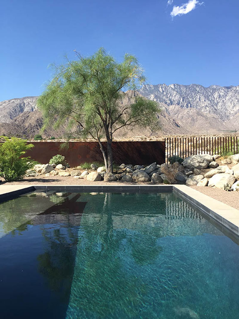 This pool is surrounded by desert landscaping and has views of the mountain range in the distance. #SwimmingPool #pool #backyard #landscaping #desert