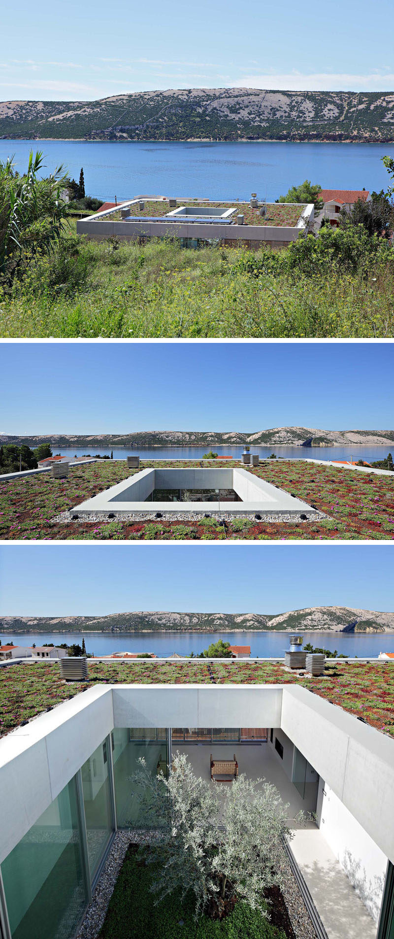 The flat roof of this modern house been planted with a green roof, featuring eight varieties of sedums of different colors and in-bloom seasons. #GreenRoof #FlatRoof #Atrium #Plants #Architecture #ModernArchitecture