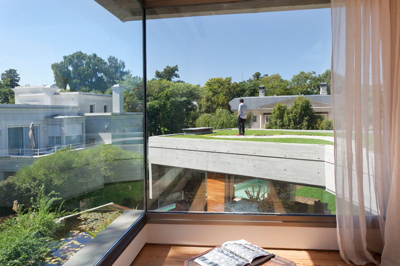 Floor-to-ceiling windows in this modern concrete house provide a view of the green roof on another part of the home. #Architecture #Windows #GreenRoof #ModernHouse